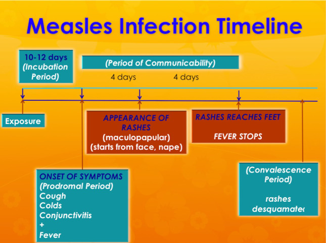 Measles infection timeline